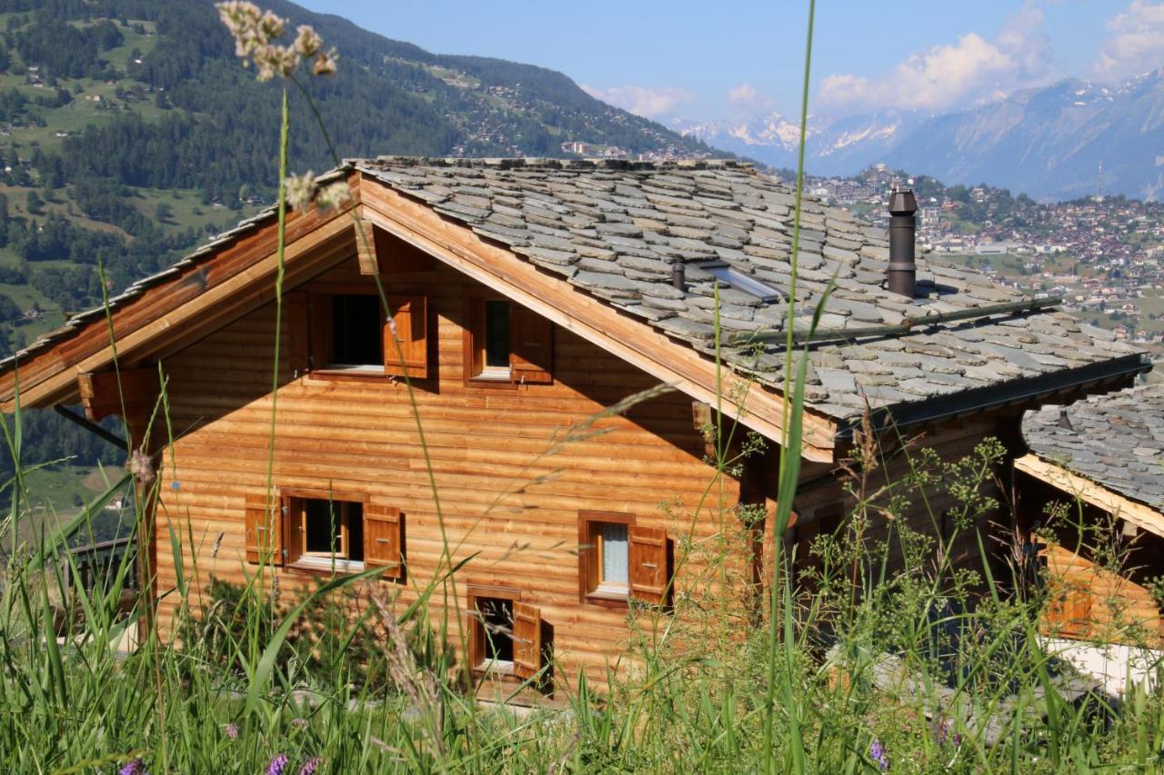 Christoph Standing & Calm Chalet 10 Pers By Alpvision Residences Вейзона Экстерьер фото